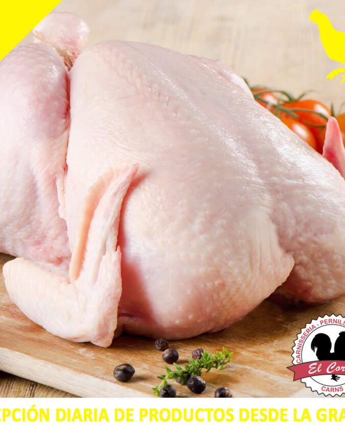POLLO PRIMERA LIMPIO  | peso 1,5 kg